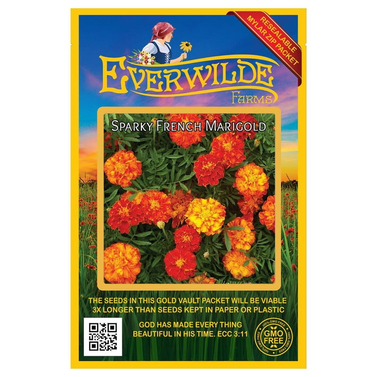 Everwilde Farms - 500 Sparky Mix French Marigold Garden Flower Seeds - Gold Vault Jumbo Bulk Seed Packet Everwilde Farms - 500 Sparky Mix French Marigold Garden Flower Seeds - Gold Vault Jumbo Bulk Seed Packet