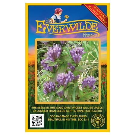 Everwilde Farms - 500 Stiff Gentian Native Wildflower Seeds - Gold Vault Seed Packet