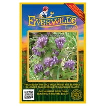 Everwilde Farms - 500 Stiff Gentian Native Wildflower Seeds - Gold Vault Seed Packet