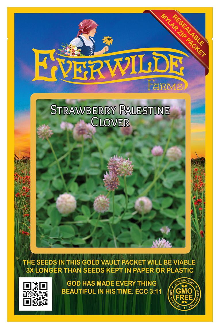 Everwilde Farms - 500 Strawberry Palestine Clover Garden Everwilde Farms - 500 Strawberry Palestine Clover Garden