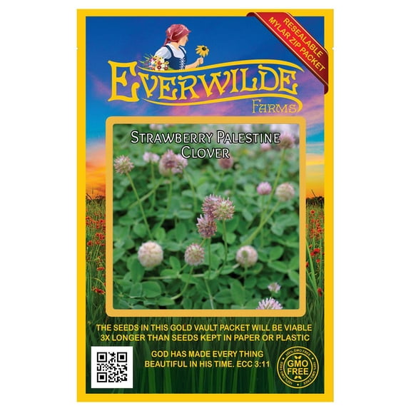 Everwilde Farms - 500 Strawberry Palestine Clover Garden Flower Seeds - Gold Vault Jumbo Bulk Seed Packet