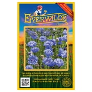 Everwilde Farms - 500 Tall Blue Bachelor Button Cornflower Garden Flower Seeds - Gold Vault Jumbo Bulk Seed Packet