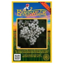 Everwilde Farms - 500 Tall Boneset Native Wildflower Seeds - Gold Vault Seed Packet
