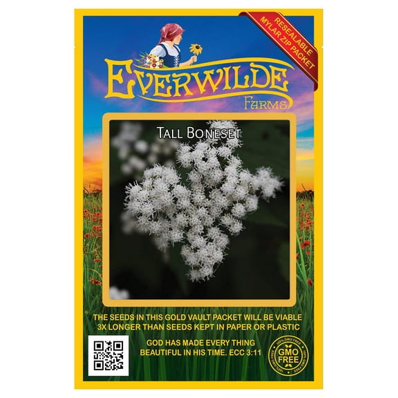 Everwilde Farms - 500 Tall Boneset Native Wildflower Seeds - Gold Vault Seed Packet