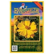 Everwilde Farms - 500 Tall Yellow Sulphur Cosmos Garden Flower Seeds - Gold Vault Jumbo Bulk Seed Packet