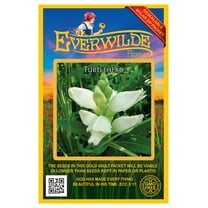Everwilde Farms - 500 Turtlehead Native Wildflower Seeds - Gold Vault Seed Packet