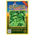 thumbnail image 1 of Everwilde Farms - 500 Viroflay Spinach Seeds - Gold Vault Jumbo Bulk Seed Packet, 1 of 5
