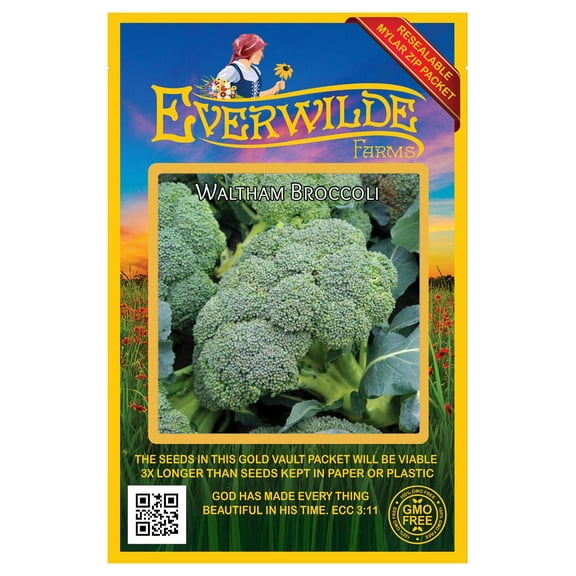 Everwilde Farms - 500 Waltham 29 Broccoli Seeds - Gold Vault Jumbo Bulk Seed Packet