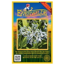 Everwilde Farms - 60 Blue Star Native Wildflower Seeds - Gold Vault Jumbo Bulk Seed Packet