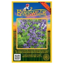 Everwilde Farms - 60 Blue Wild Indigo Native Wildflower Seeds - Gold Vault Jumbo Bulk Seed Packet