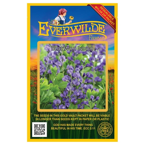 Everwilde Farms - 60 Blue Wild Indigo Native Wildflower Seeds - Gold Vault Jumbo Bulk Seed Packet