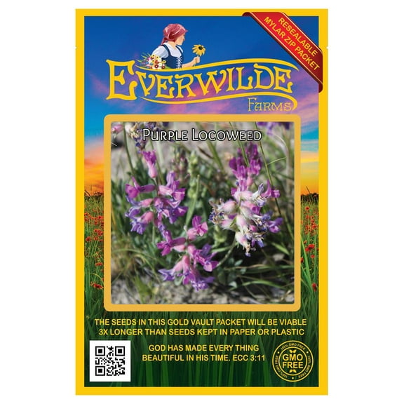 Everwilde Farms - 60 Purple Locoweed Native Wildflower Seeds - Gold Vault Seed Packet