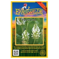 Everwilde Farms - 60 Wild Licorice Native Wildflower Seeds - Gold Vault Seed Packet