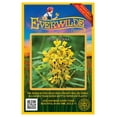 thumbnail image 1 of Everwilde Farms 60 Wild Senna Flower Seeds, Resealable Mylar Packaging, 1 of 5