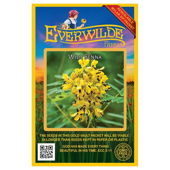 Everwilde Farms 60 Wild Senna Flower Seeds, Resealable Mylar Packaging