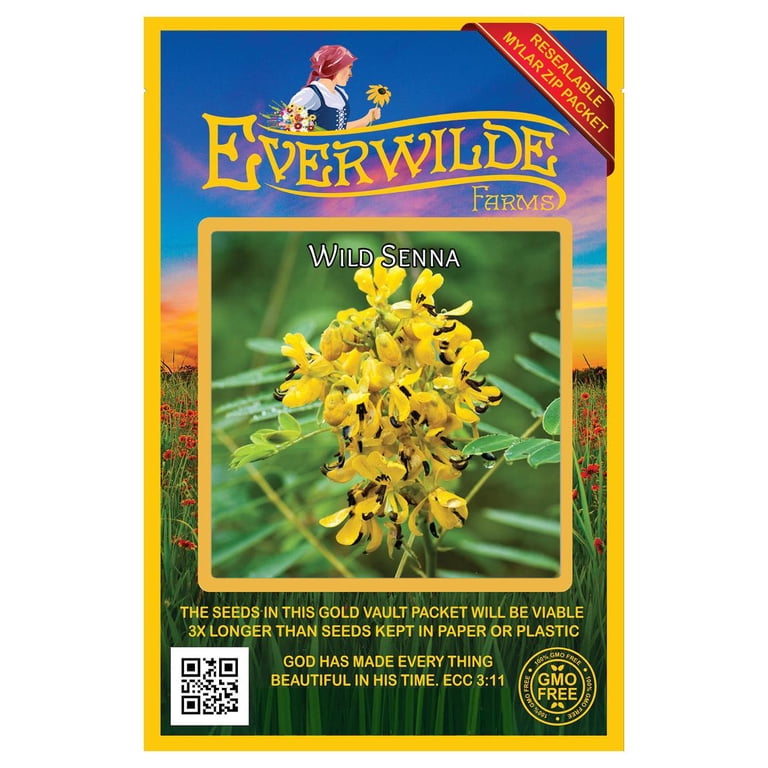Everwilde Farms 60 Wild Senna Flower Seeds, Resealable Mylar Packaging -  Walmart.com