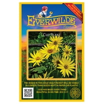 Everwilde Farms - 75 Cup Plant Native Wildflower Seeds - Gold Vault Jumbo Bulk Seed Packet