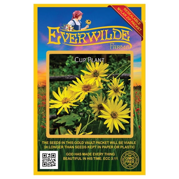 Everwilde Farms - 75 Cup Plant Native Wildflower Seeds - Gold Vault Jumbo Bulk Seed Packet