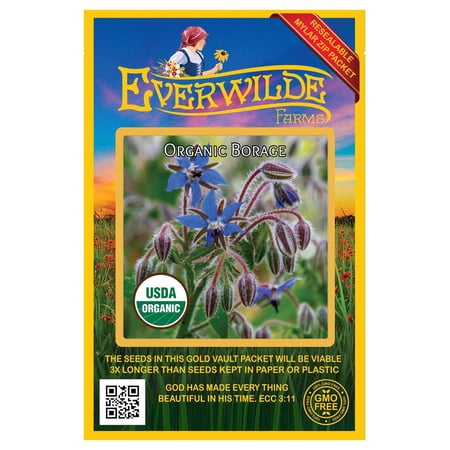 Everwilde Farms - 75 Organic Borage Herb Seeds - Gold Vault Jumbo Bulk Seed Packet