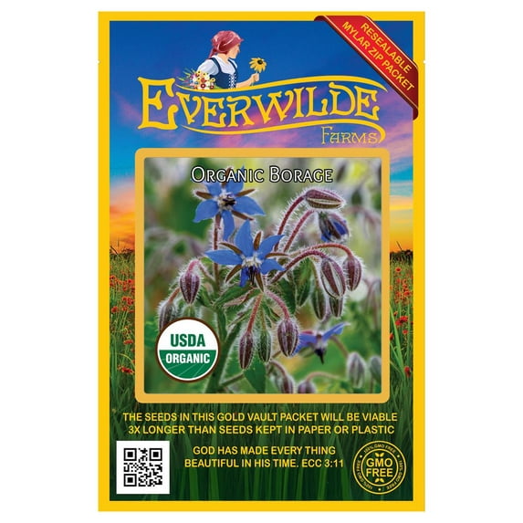 Everwilde Farms - 75 Organic Borage Herb Seeds - Gold Vault Jumbo Bulk Seed Packet