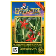 Everwilde Farms - 75 Royal Catchfly Native Wildflower Seeds - Gold Vault Jumbo Bulk Seed Packet
