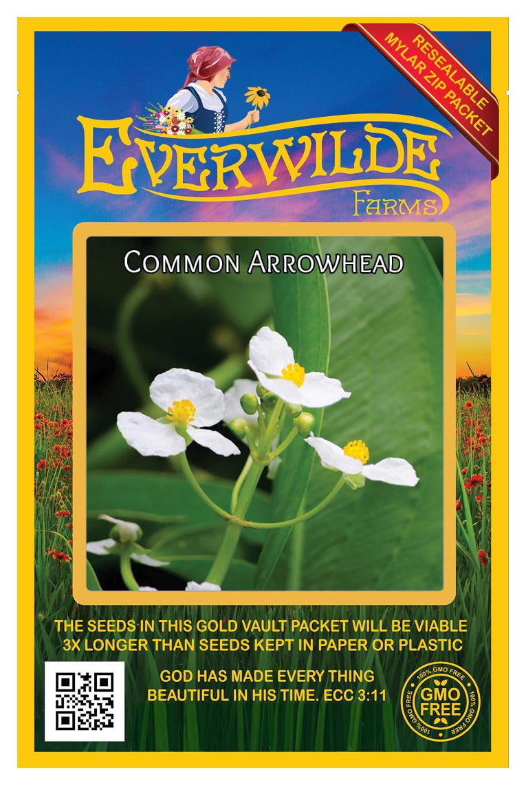 Everwilde Farms 750 Common Arrowhead Native Wildflower Seeds Gold