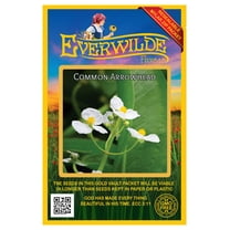 Everwilde Farms - 750 Common Arrowhead Native Wildflower Seeds - Gold Vault Seed Packet