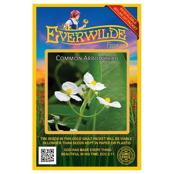 Everwilde Farms - 750 Common Arrowhead Native Wildflower Seeds - Gold Vault Seed Packet