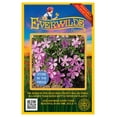 thumbnail image 1 of Everwilde Farms - 80 Prairie Phlox Native Wildflower Seeds - Gold Vault Seed Packet, 1 of 5
