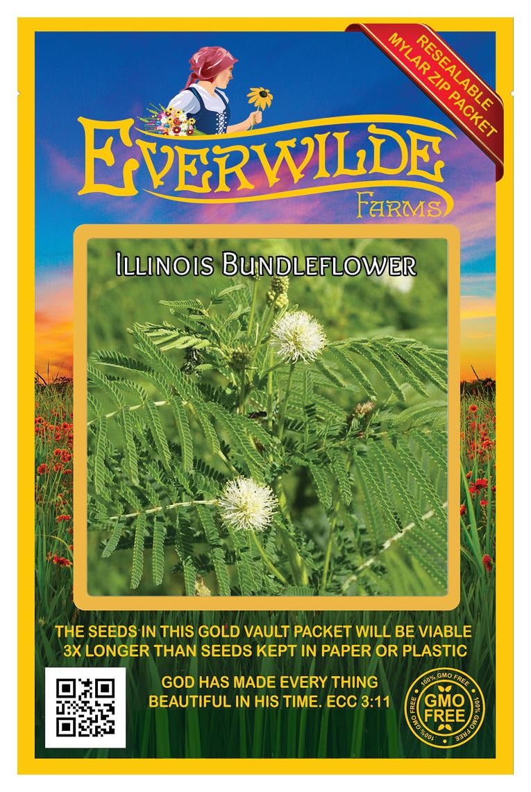 Everwilde Farms 800 Illinois Bundleflower Native Wildflower Seeds