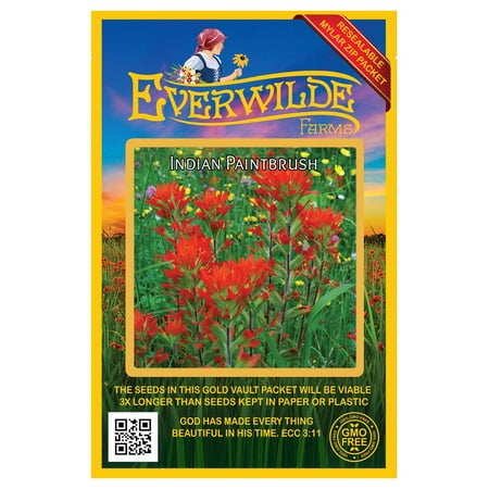 Everwilde Farms - 800 Indian Paintbrush Native Wildflower Seeds - Gold Vault Seed Packet