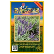Everwilde Farms - 400 Lead Plant Native Wildflower Seeds - Gold Vault Jumbo Bulk Seed Packet