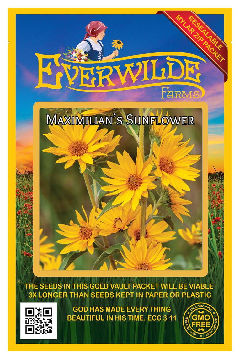 Everwilde Farms 800 Maximilian Sunflower Native Wildflower Seeds