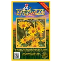 Everwilde Farms - 800 Maximilian Sunflower Native Wildflower Seeds - Gold Vault Jumbo Bulk Seed Packet