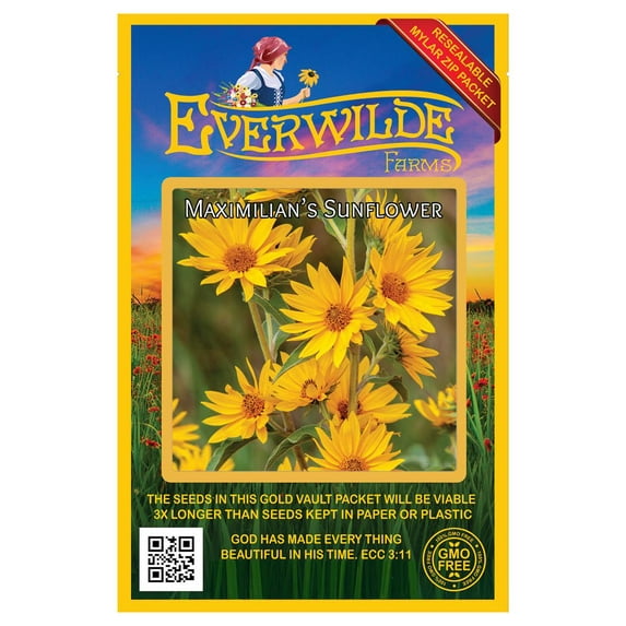Everwilde Farms - 800 Maximilian Sunflower Native Wildflower Seeds - Gold Vault Jumbo Bulk Seed Packet