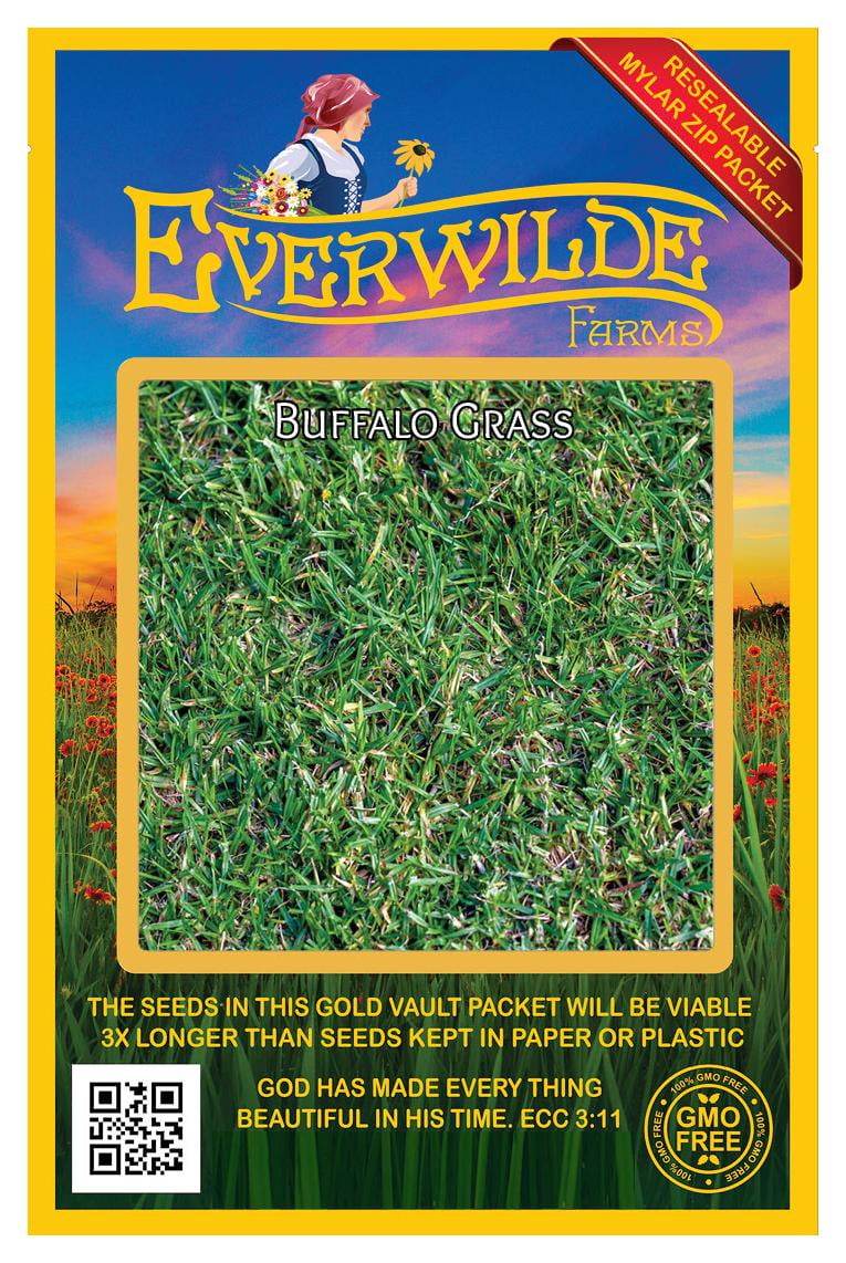 Everwilde Farms Buffalo Grass Seeds Buffalo Grass Lawn & Garden, 0.1 lbs