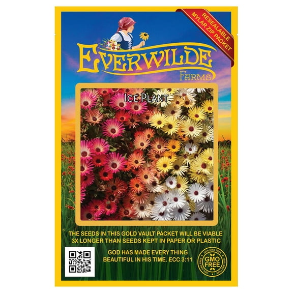 Everwilde Farms Ice Plant Flower Seeds, Resealable Mylar Packaging