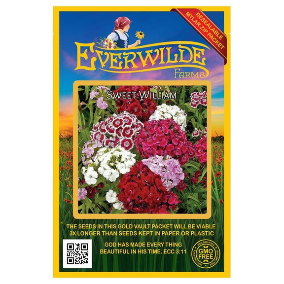 Everwilde Farms Sweet William Flower Seeds 100 Count Dianthus Flower Seeds, Colorful Gardens