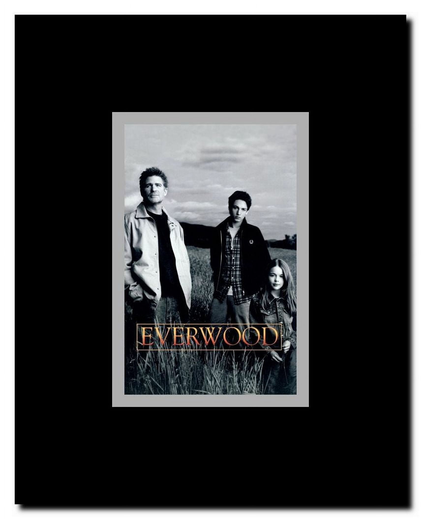 Everwood Framed Movie Poster