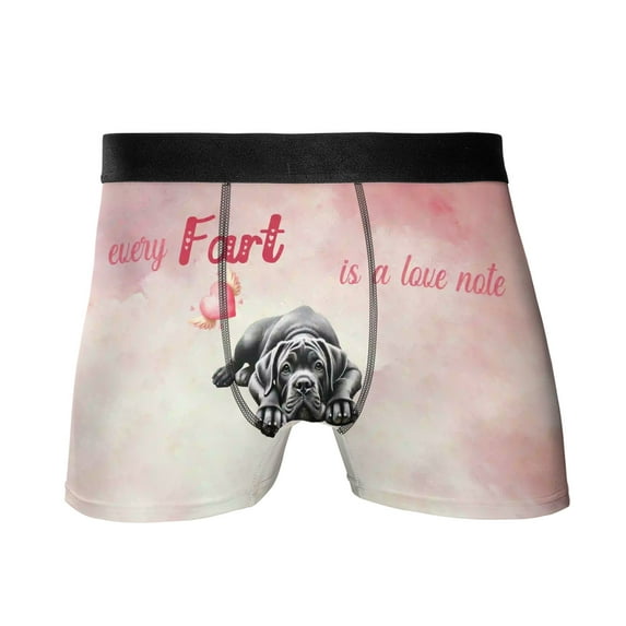 Every Fart is Love Note Cane Corso Guilty Face Happy Valentine's All Over Print Boxer Briefs Underwear for Men Dad Italian Mastiff Dog Lover Gifts Idea - 01016