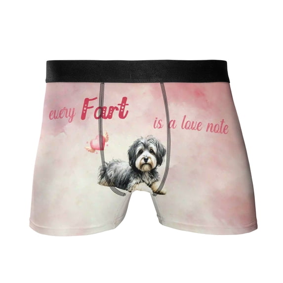 Every Fart is Love Note Havanese Guilty Face Happy Valentine's All Over Print Boxer Briefs Underwear for Men Dad Havanese Dog Lover Gifts Idea - 01016