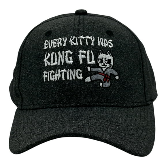Every Kitty Was Kung Fu Fighting Hat Funny Sarcastic Graphic Novelty Cap