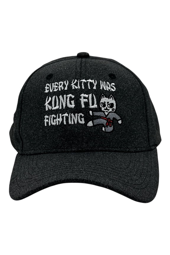 Every Kitty Was Kung Fu Fighting Hat Funny Sarcastic Graphic Novelty Cap