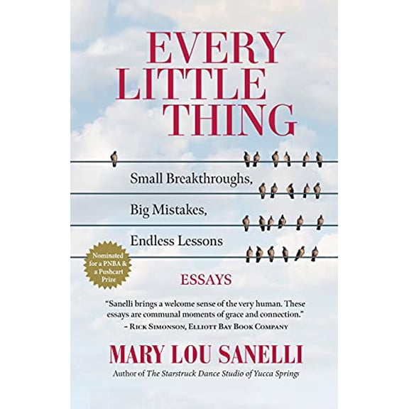 Pre-Owned Every Little Thing: Small Breakthroughs, Big Mistakes, Endless Lessons, 9781633981355, 1633981355, Paperback,