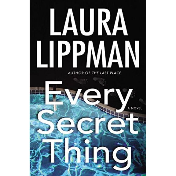 Pre-Owned Every Secret Thing : A Novel (Hardcover) 9780060506674