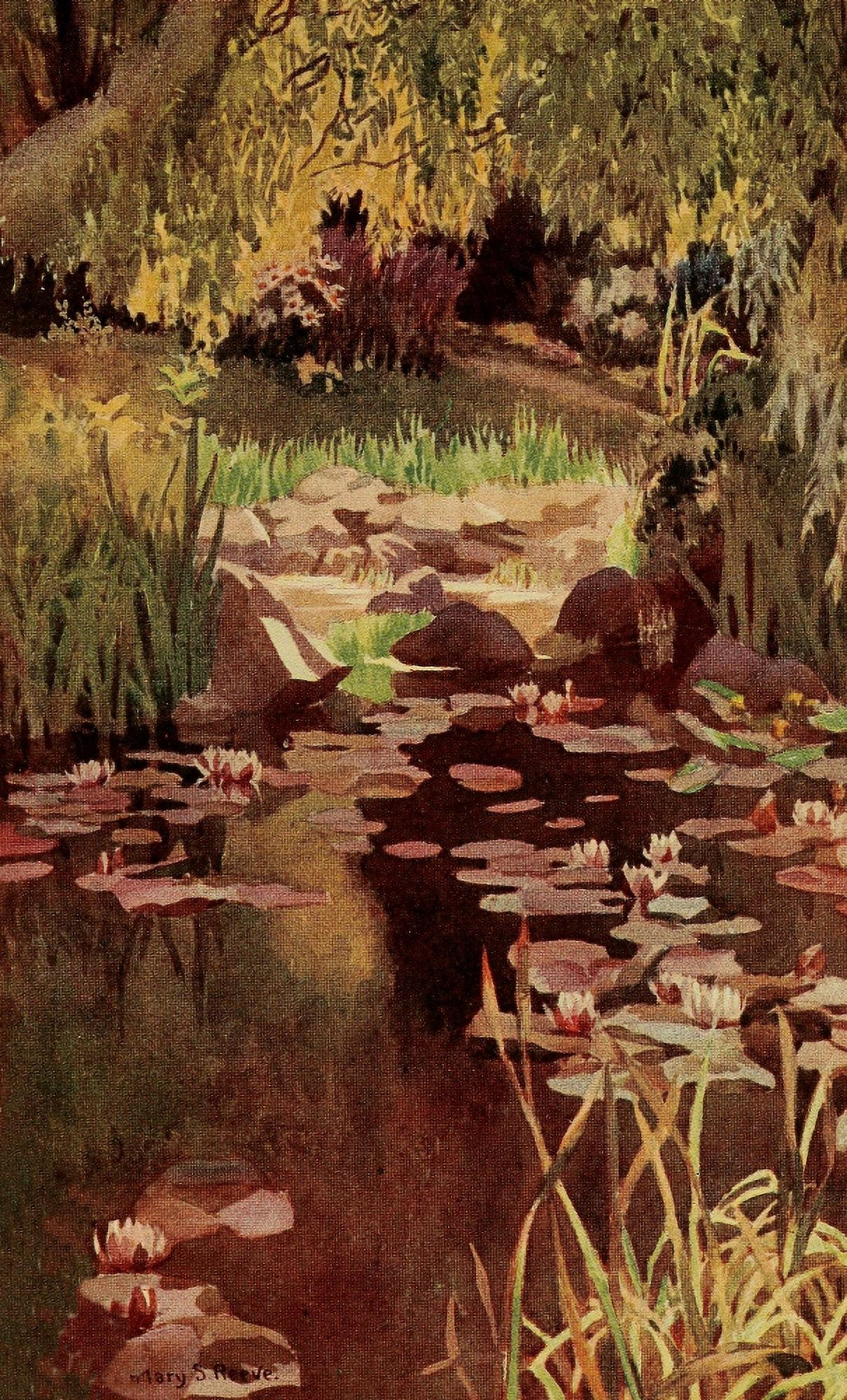 Every Womans Flower Garden 1915 Water-lilies Canvas Art - Mary S Reeve (24 x 36)