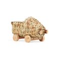 EveryYay Grass Car for Small Animals - Walmart.com