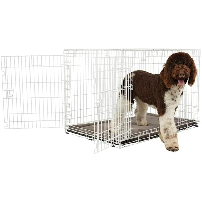 EveryYay White 2 Door Dog Crate 48 L X 30 W X 32 H Walmart