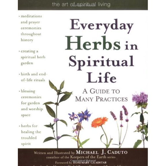 Pre-Owned Everyday Herbs in Spiritual Life: A Guide to Many Practices (Paperback) 1594731748 9781594731747