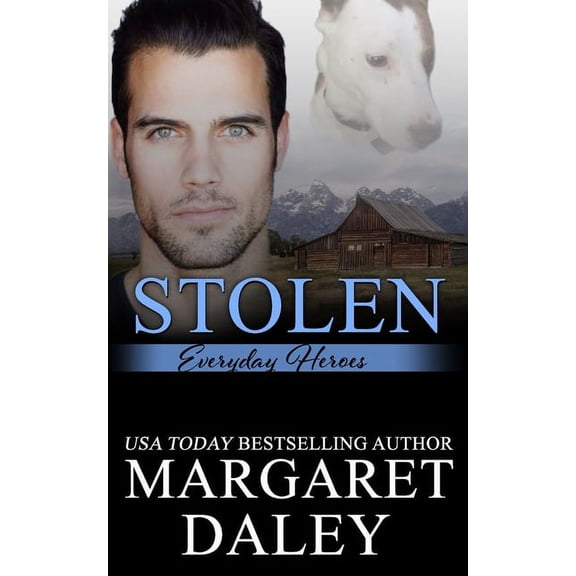 Everyday Heroes: Stolen (Paperback)